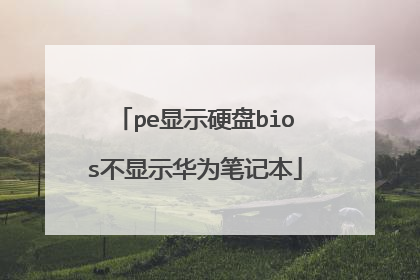 pe显示硬盘bios不显示华为笔记本