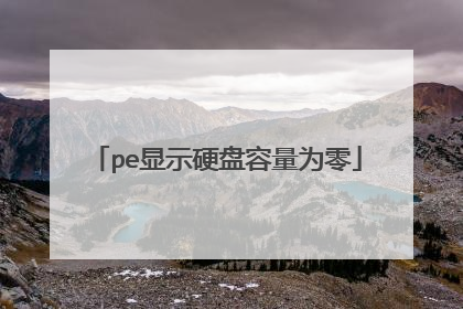 pe显示硬盘容量为零