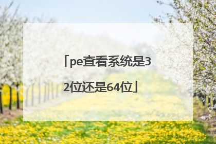 pe查看系统是32位还是64位