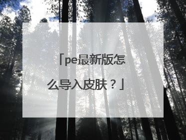 pe最新版怎么导入皮肤?