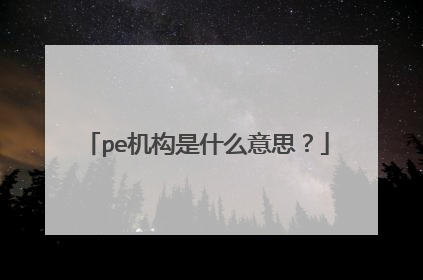 pe机构是什么意思？
