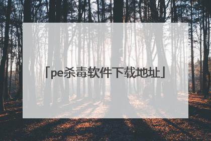 pe杀毒软件下载地址