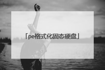 pe格式化固态硬盘