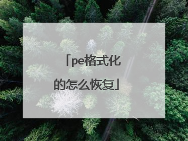pe格式化的怎么恢复