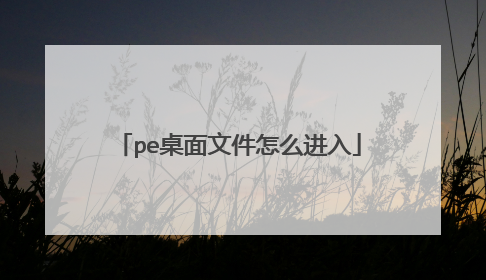 pe桌面文件怎么进入