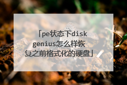 pe状态下diskgenius怎么样恢复之前格式化的硬盘