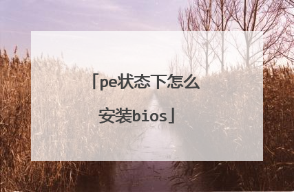 pe状态下怎么安装bios