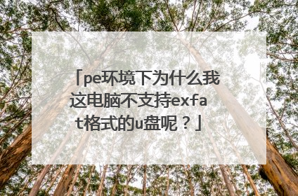 pe环境下为什么我这电脑不支持exfat格式的u盘呢？