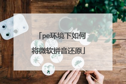 pe环境下如何将微软拼音还原