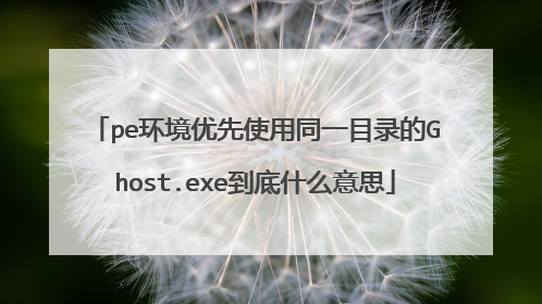 pe环境优先使用同一目录的Ghost.exe到底什么意思
