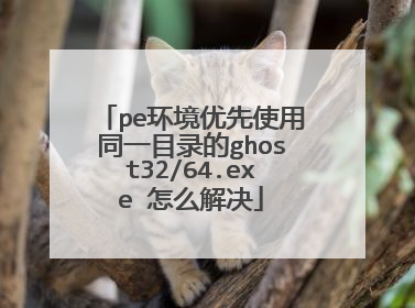pe环境优先使用同一目录的ghost32/64.exe 怎么解决