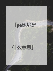 pe环境是什么意思
