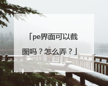 pe界面可以截图吗?怎么弄?