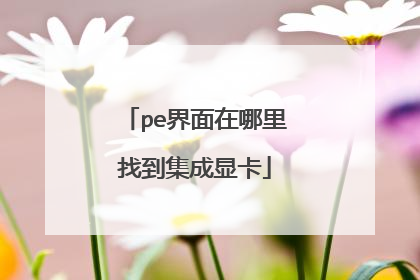 pe界面在哪里找到集成显卡