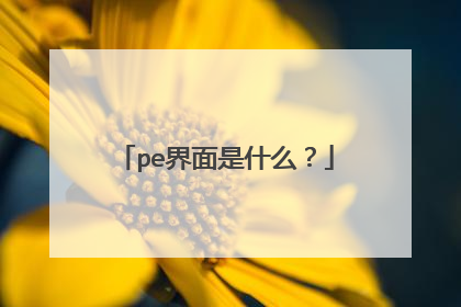 pe界面是什么?