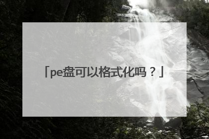 pe盘可以格式化吗?