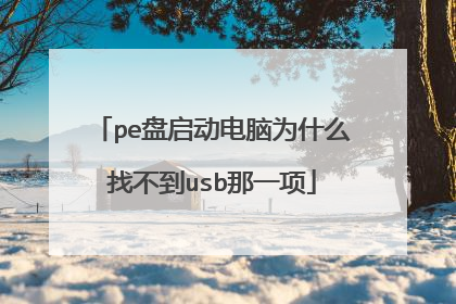 pe盘启动电脑为什么找不到usb那一项