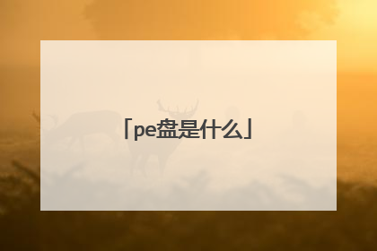 pe盘是什么