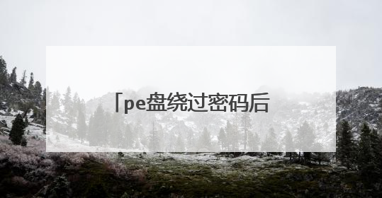 pe盘绕过密码后出现蓝屏并且关机