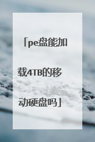pe盘能加载4TB的移动硬盘吗