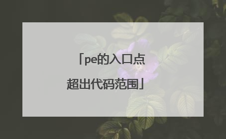 pe的入口点超出代码范围