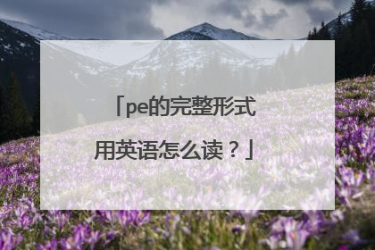 pe的完整形式用英语怎么读?