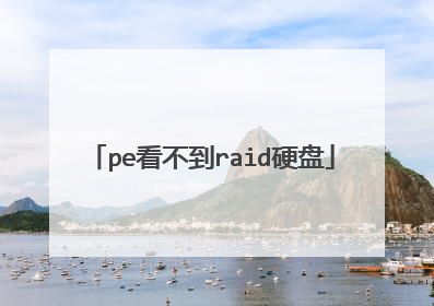 pe看不到raid硬盘