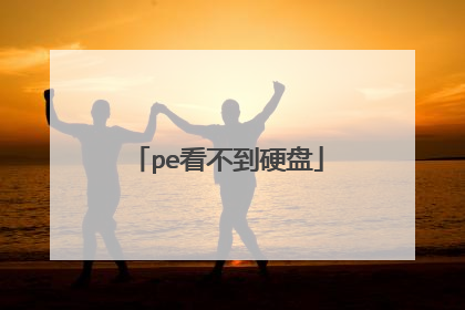 pe看不到硬盘
