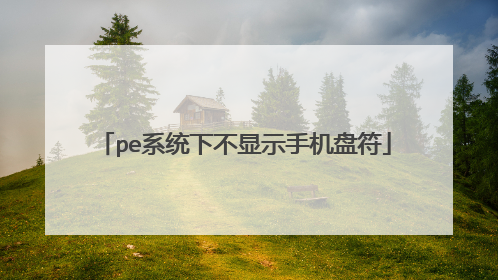 pe系统下不显示手机盘符