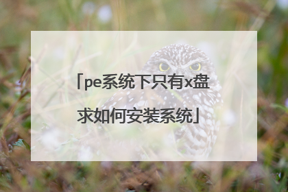 pe系统下只有x盘 求如何安装系统