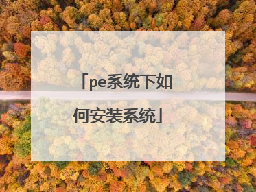 pe系统下如何安装系统