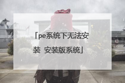 pe系统下无法安装 安装版系统