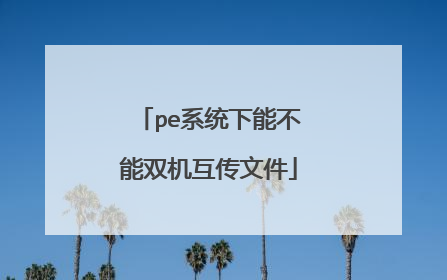 pe系统下能不能双机互传文件