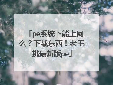 pe系统下能上网么？下载东西！老毛挑最新版pe
