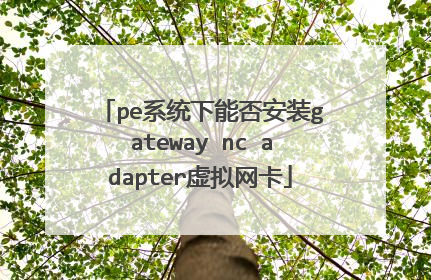 pe系统下能否安装gateway nc adapter虚拟网卡