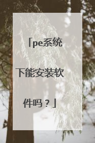 pe系统下能安装软件吗？