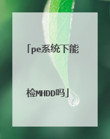 pe系统下能检MHDD吗