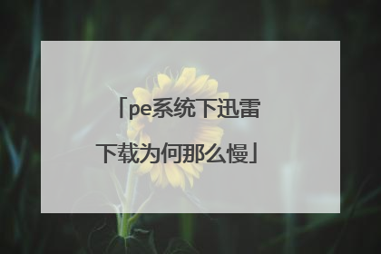 pe系统下迅雷下载为何那么慢