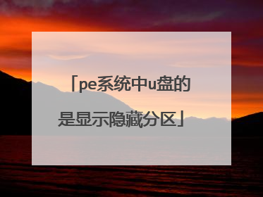 pe系统中u盘的是显示隐藏分区