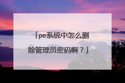 pe系统中怎么删除管理员密码啊?
