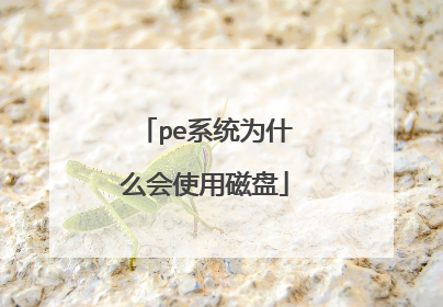 pe系统为什么会使用磁盘