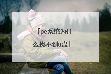 pe系统为什么找不到u盘