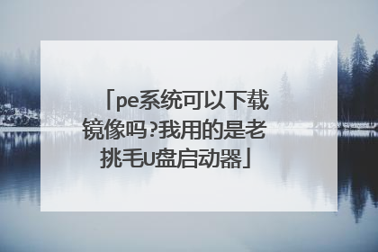 pe系统可以下载镜像吗?我用的是老挑毛U盘启动器
