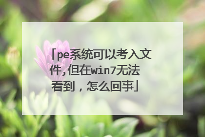 pe系统可以考入文件,但在win7无法看到，怎么回事