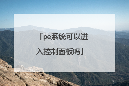 pe系统可以进入控制面板吗