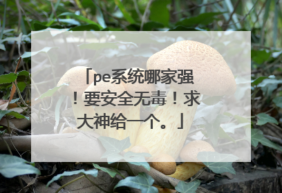 pe系统哪家强！要安全无毒！求大神给一个。