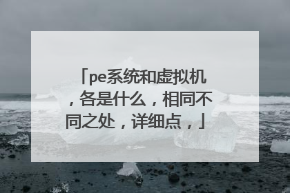 pe系统和虚拟机，各是什么，相同不同之处，详细点，