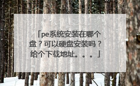 pe系统安装在哪个盘?可以硬盘安装吗?给个下载地址。。。