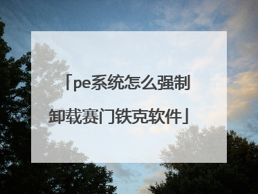 pe系统怎么强制卸载赛门铁克软件