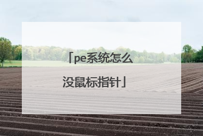 pe系统怎么没鼠标指针
